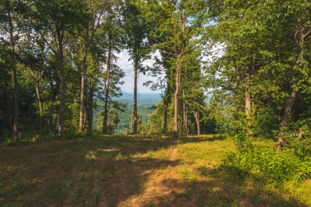 Building Land for Sale in Franklin County VA! - image 2
