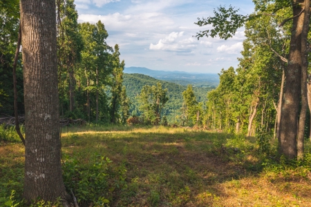 Building Land for Sale in Franklin County VA! - image 1