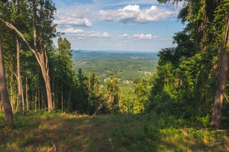 Building Land for Sale in Franklin County VA! - image 11