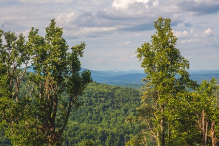 Building Land for Sale in Franklin County VA! - image 7