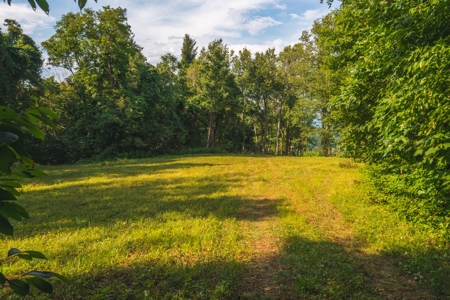 Building Land for Sale in Franklin County VA! - image 9