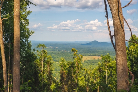 Building Land for Sale in Franklin County VA! - image 6