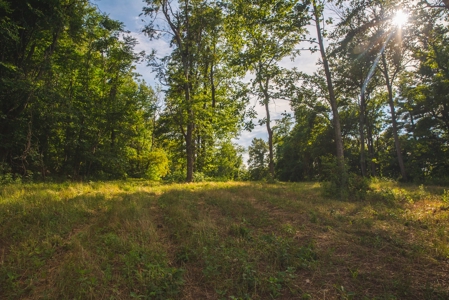 Building Land for Sale in Franklin County VA! - image 8