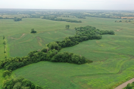 DeKalb County, MO 40 Acres For Sale - image 5