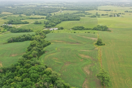 DeKalb County, MO 40 Acres For Sale - image 11