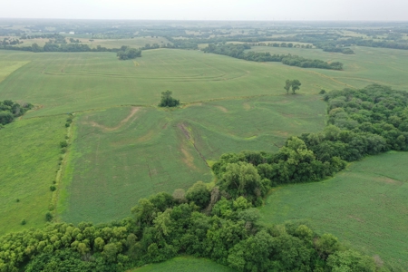 DeKalb County, MO 40 Acres For Sale - image 6