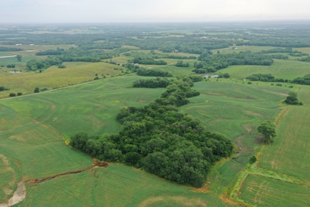 DeKalb County, MO 40 Acres For Sale - image 9