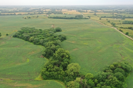 DeKalb County, MO 40 Acres For Sale - image 7