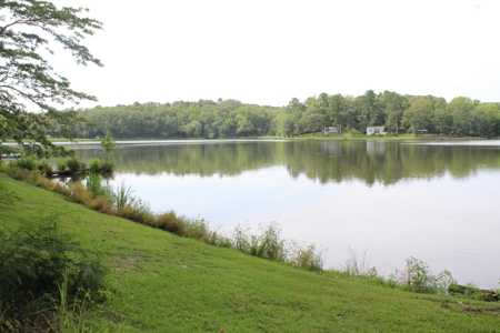 East Texas Water View Tiny Home Elwood Lake Pittsburg, Tx - image 23