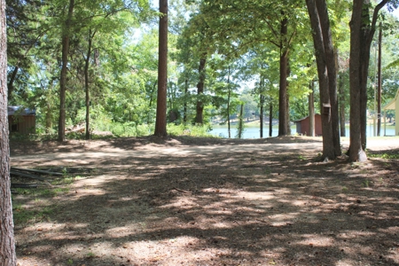 East Texas Water View Tiny Home Elwood Lake Pittsburg, Tx - image 20