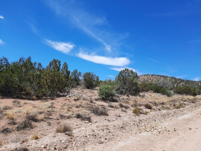 360 Views - image 6