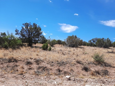 360 Views - image 7