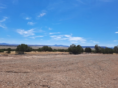 360 Views - image 10