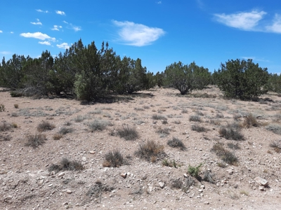 360 Views - image 5