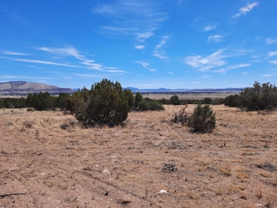 360 Views - image 17