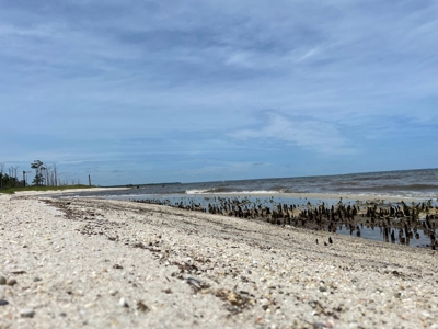 Waterfront Lot for Sale Beaufort NC - image 7