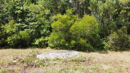 Waterfront Lot for Sale Beaufort NC - image 29