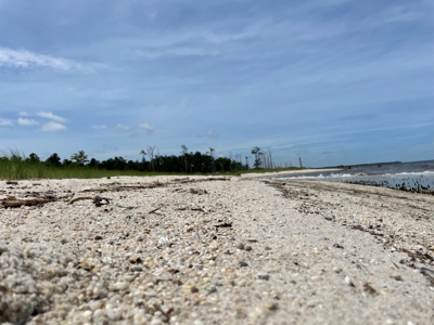 Waterfront Lot for Sale Beaufort NC - image 12