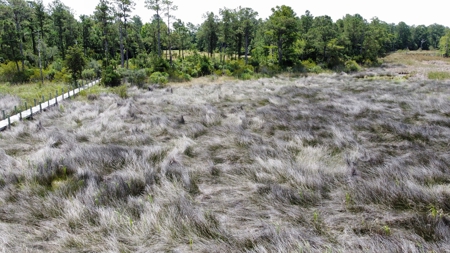 Waterfront Lot for Sale Beaufort NC - image 23