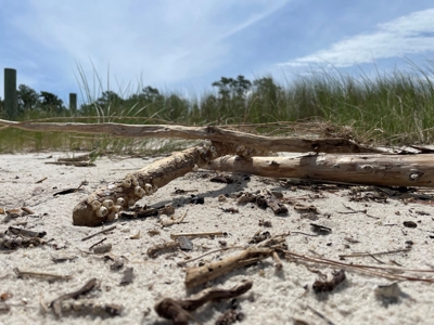 Waterfront Lot for Sale Beaufort NC - image 11