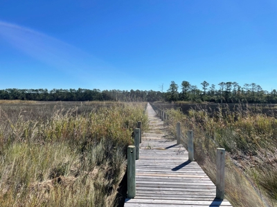 Waterfront Lot for Sale Beaufort NC - image 3