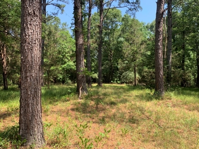 Camp and Hunting Land For Sale Franklin County Mississippi - image 7