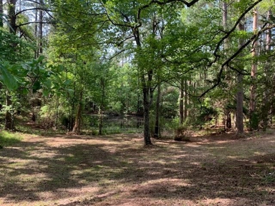 Camp and Hunting Land For Sale Franklin County Mississippi - image 38