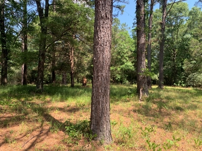 Camp and Hunting Land For Sale Franklin County Mississippi - image 27