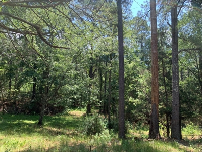 Camp and Hunting Land For Sale Franklin County Mississippi - image 9
