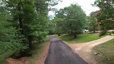 Camp and Hunting Land For Sale Franklin County Mississippi - image 3
