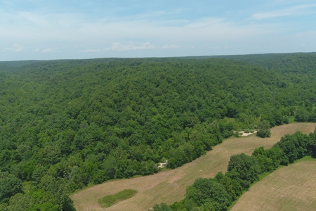 Dent County Missouri Hunting Land For Sale, Timberland, Farm - image 3