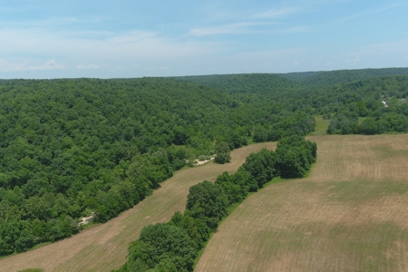 Dent County Missouri Hunting Land For Sale, Timberland, Farm - image 2