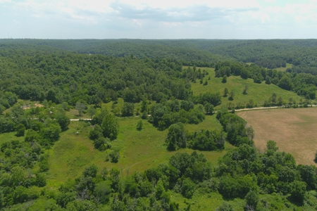 Dent County Missouri Hunting Land For Sale, Timberland, Farm - image 15