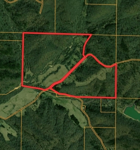Dent County Missouri Hunting Land For Sale, Timberland, Farm - image 18