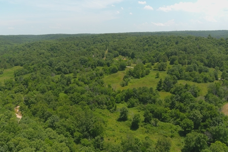 Dent County Missouri Hunting Land For Sale, Timberland, Farm - image 7