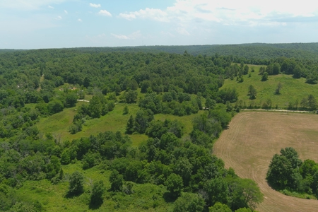 Dent County Missouri Hunting Land For Sale, Timberland, Farm - image 6