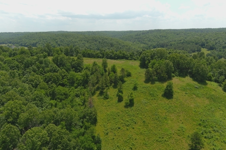 Dent County Missouri Hunting Land For Sale, Timberland, Farm - image 9