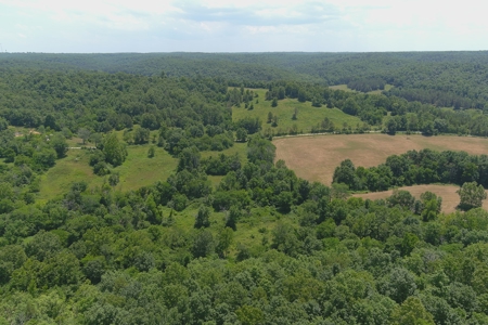 Dent County Missouri Hunting Land For Sale, Timberland, Farm - image 14