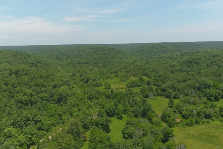 Dent County Missouri Hunting Land For Sale, Timberland, Farm - image 5