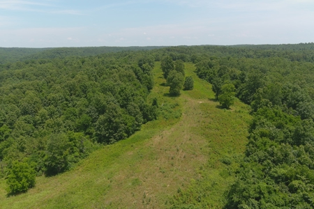 Dent County Missouri Hunting Land For Sale, Timberland, Farm - image 10