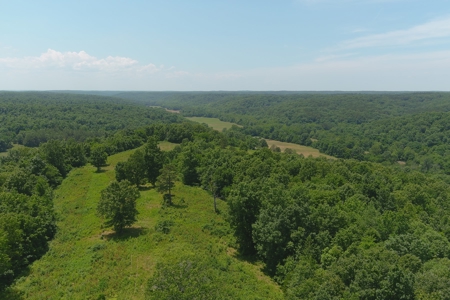 Dent County Missouri Hunting Land For Sale, Timberland, Farm - image 11