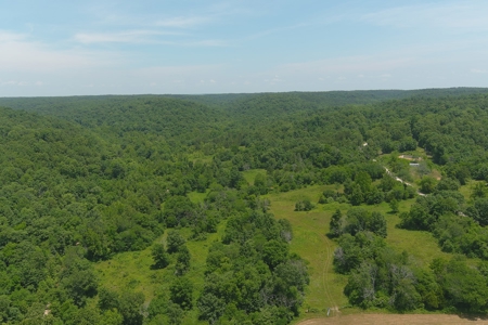 Dent County Missouri Hunting Land For Sale, Timberland, Farm - image 4