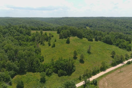 Dent County Missouri Hunting Land For Sale, Timberland, Farm - image 8