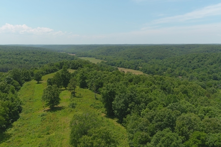 Dent County Missouri Hunting Land For Sale, Timberland, Farm - image 12