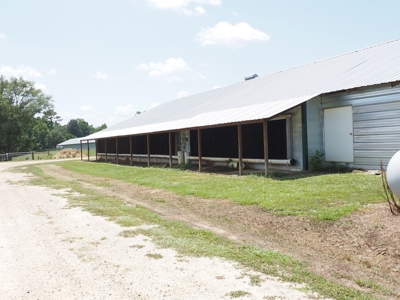 Nice Turnkey 6 house Poultry farm 25 Acres SE Mississippi - image 11