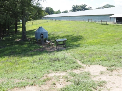 Nice Turnkey 6 house Poultry farm 25 Acres SE Mississippi - image 30