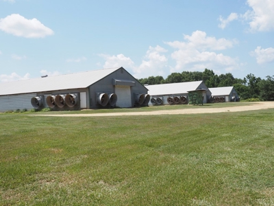 Nice Turnkey 6 house Poultry farm 25 Acres SE Mississippi - image 9