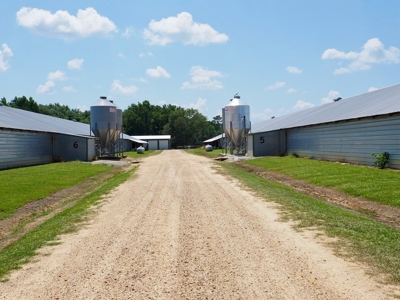 Nice Turnkey 6 house Poultry farm 25 Acres SE Mississippi - image 7