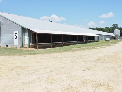 Nice Turnkey 6 house Poultry farm 25 Acres SE Mississippi - image 3
