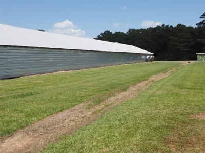 Nice Turnkey 6 house Poultry farm 25 Acres SE Mississippi - image 12